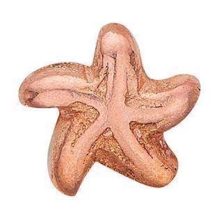 Christina rosa forgyldt sølv Star Fish Lille rosa forgyldt søstjerne, model 603-R7 købes hos Guldsmykket.dk her